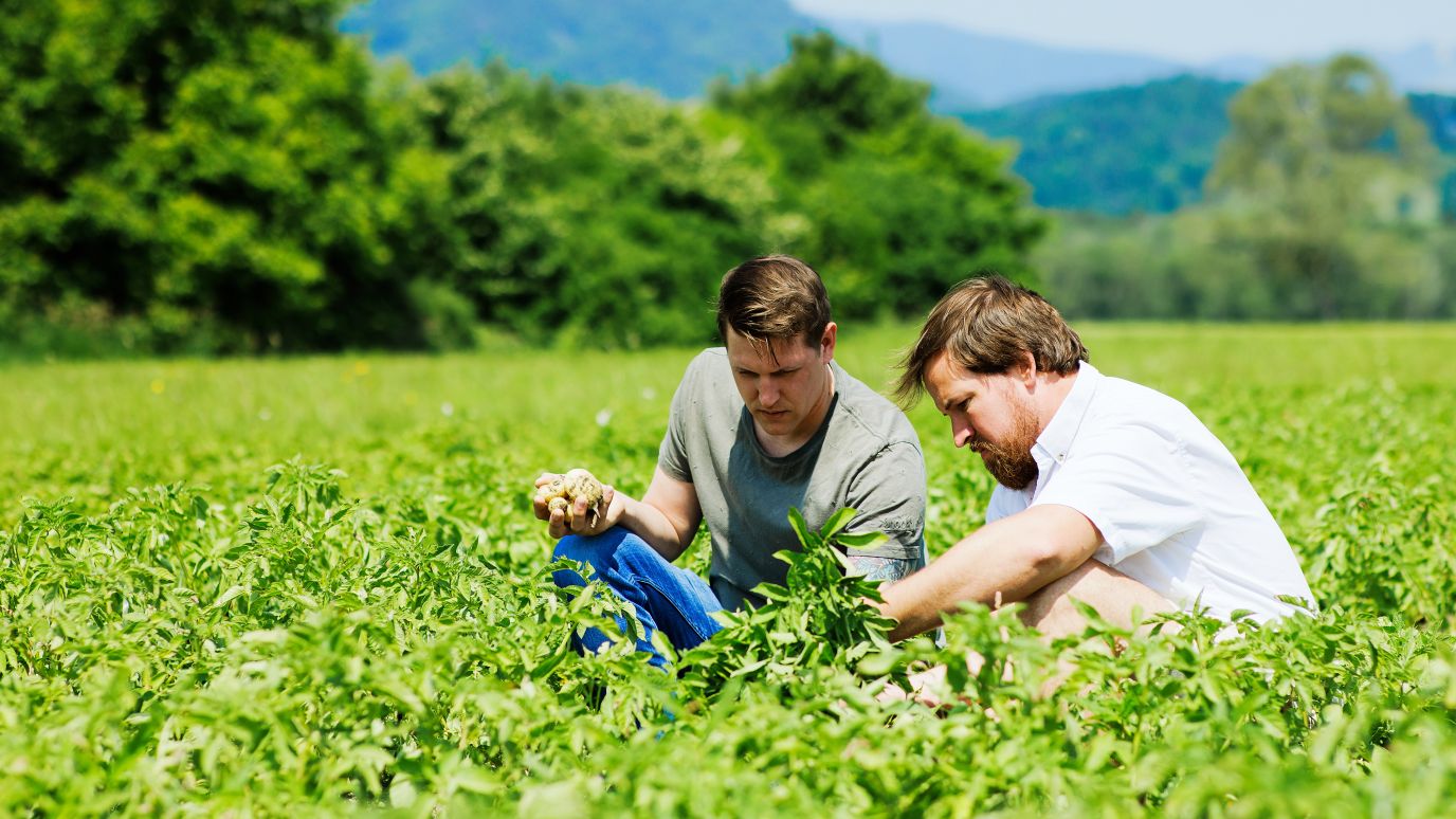 Michael Kühne, Lisilis Biohof und Dominic Mayer, Restaurant Hörnlingen 