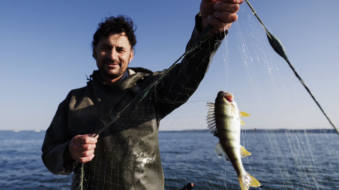 Fränzle's Fränzle's