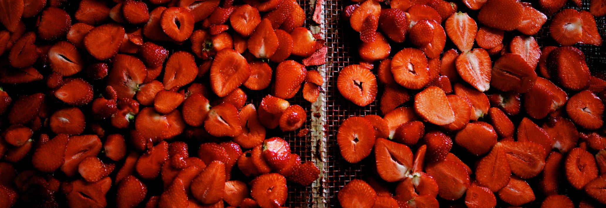 Schobel Höchstgenuss, Höchst  Schobel Höchstgenuss, Höchst