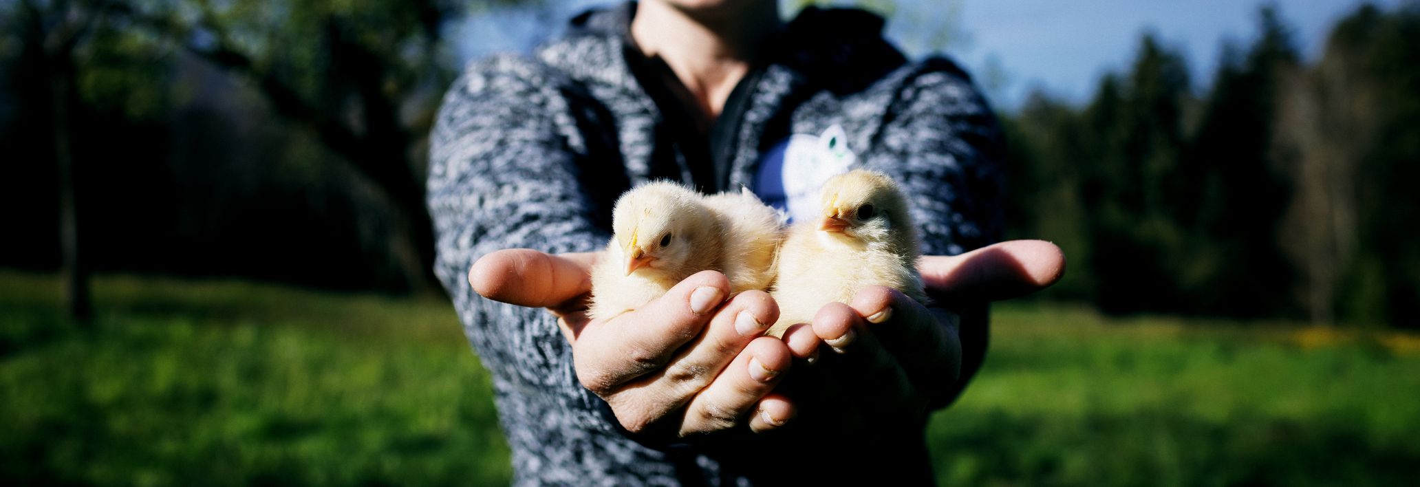 Caprice Innauer Caprice Innauer