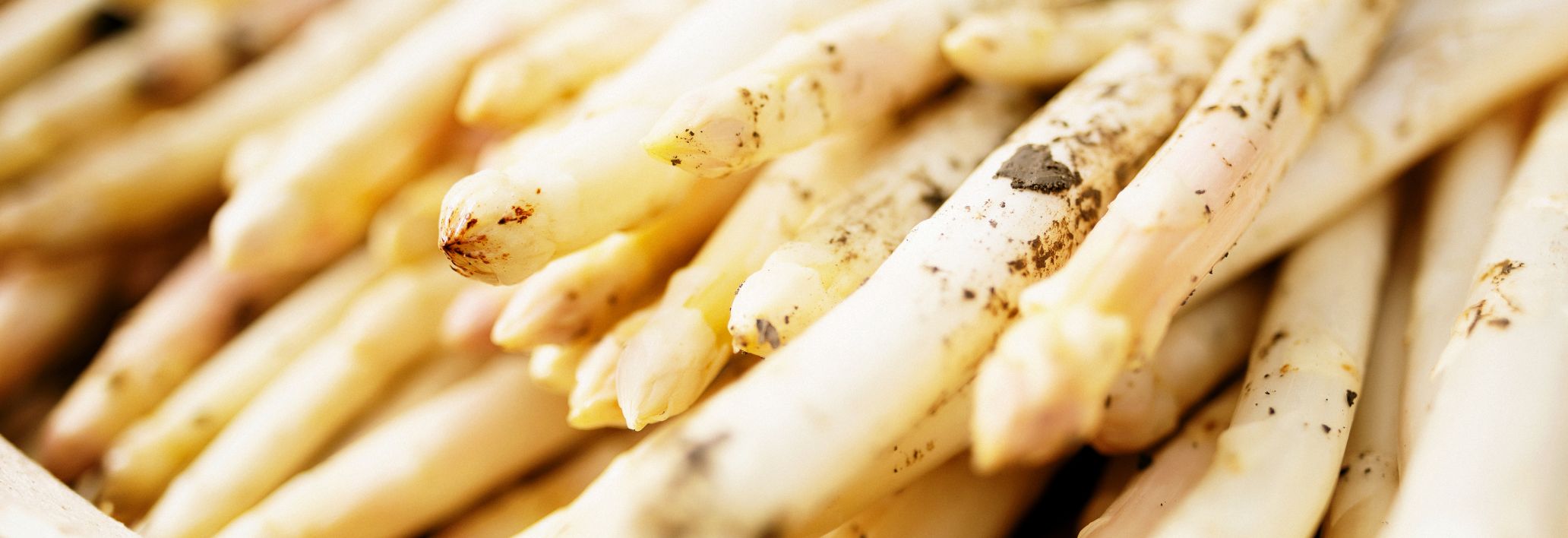 Spargel, Winderhof, Dornbirn Spargel, Winderhof, Dornbirn