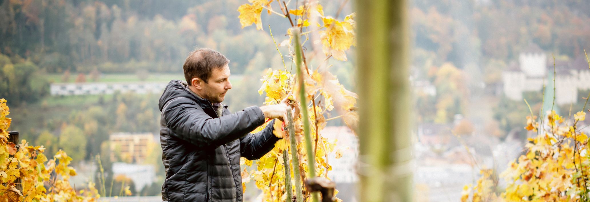 Wein Fulterer, Feldkirch Wein Fulterer, Feldkirch