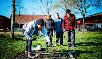 Team, Gutshof Heidensand, Lustenau Team, Gutshof Heidensand, Lustenau