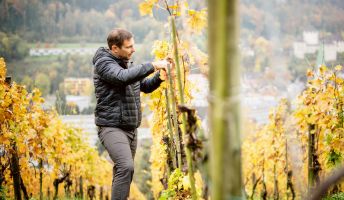 Wein Fulterer, Feldkirch