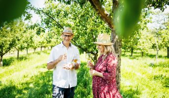 Dietrich Kostbarkeiten und Messmerhaus Bildstein Dietrich Kostbarkeiten und Messmerhaus Bildstein
