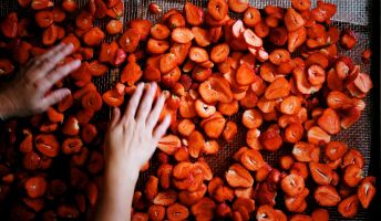  Schobel Höchstgenuss, Höchst