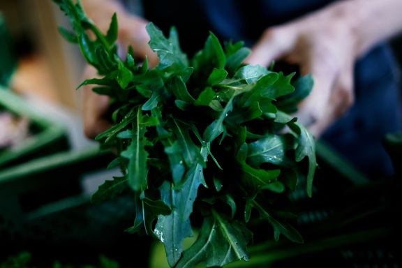 Mizzi Green und Wegewarte Mizzi Green und Wegewarte