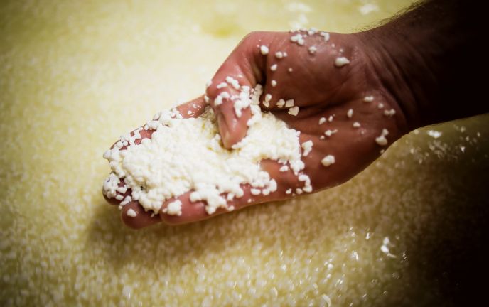 Bergsennerei Lutzenreute, Eichenberg (c) matakstudios  (2) Bergsennerei Lutzenreute, Eichenberg (c) matakstudios  (2)