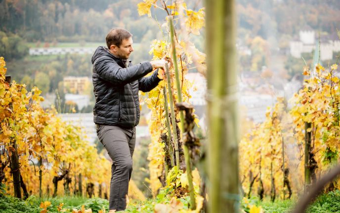 Wein Fulterer, Feldkirch Wein Fulterer, Feldkirch