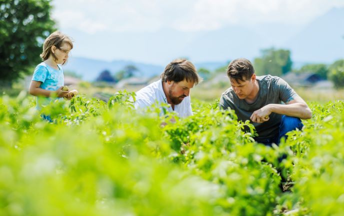 Michael Kühne, Lisilis Biohof und Dominic Mayer, Restaurant Hörnlingen  Michael Kühne, Lisilis Biohof und Dominic Mayer, Restaurant Hörnlingen