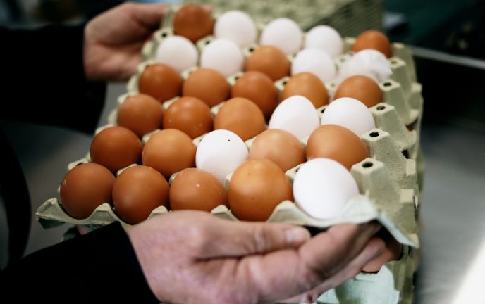 Eier, Geflügel Hof Bell, Feldkirch