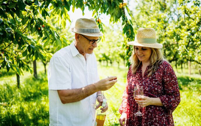 Dietrich Kostbarkeiten und Messmerhaus Bildstein Dietrich Kostbarkeiten und Messmerhaus Bildstein