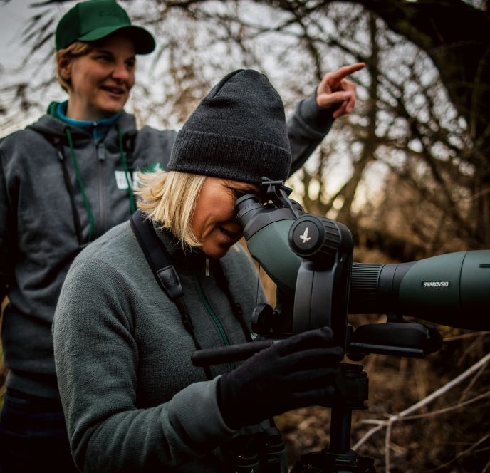 zaem, Ruth Swoboda, Carmen Oberhauser, Birds Club Birdwatching, Hard zaem, Ruth Swoboda, Carmen Oberhauser, Birds Club Birdwatching, Hard