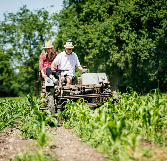 Dietrich Kostbarkeiten und Messmerhaus Bildstein Dietrich Kostbarkeiten und Messmerhaus Bildstein