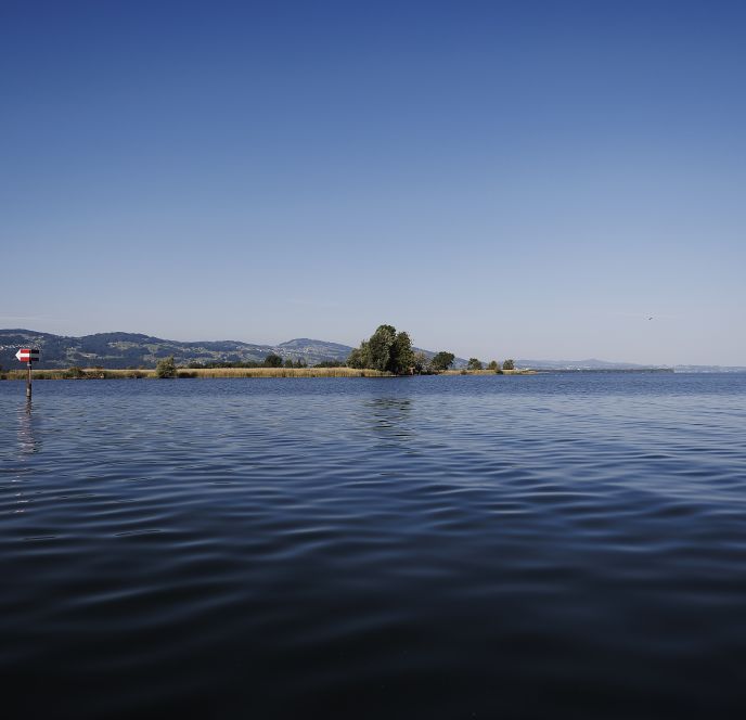 Fränzle's Fränzle's