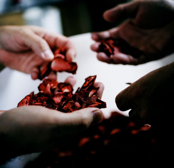 Fenkart, Hohenems und Schobel, Höchst Fenkart, Hohenems und Schobel, Höchst