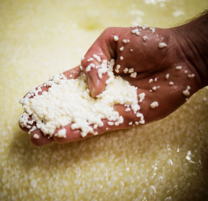 Bergsennerei Lutzenreute, Eichenberg (c) matakstudios  (2)