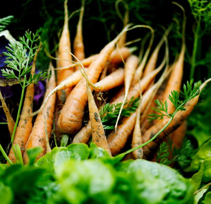 Lisilis Biohof Lisilis Biohof