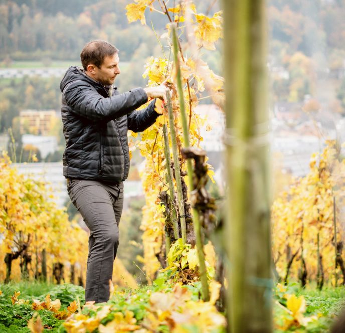 Wein Fulterer, Feldkirch Wein Fulterer, Feldkirch