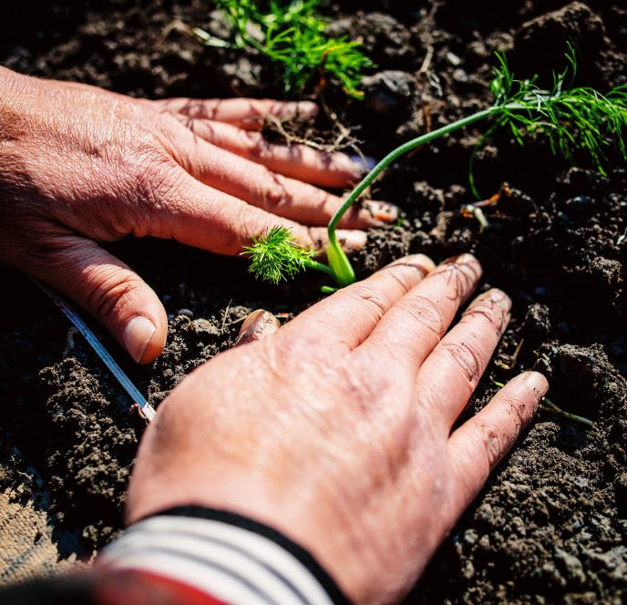 Arbeiten am Gutshof Heidensand, Lustenau (1) Arbeiten am Gutshof Heidensand, Lustenau (1)