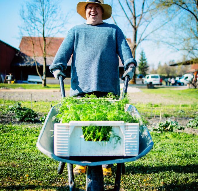 Arbeiten am Gutshof Heidensand, Lustenau (2) Arbeiten am Gutshof Heidensand, Lustenau (2)