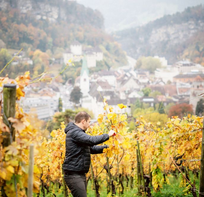 Wein Fulterer, Feldkirch Wein Fulterer, Feldkirch