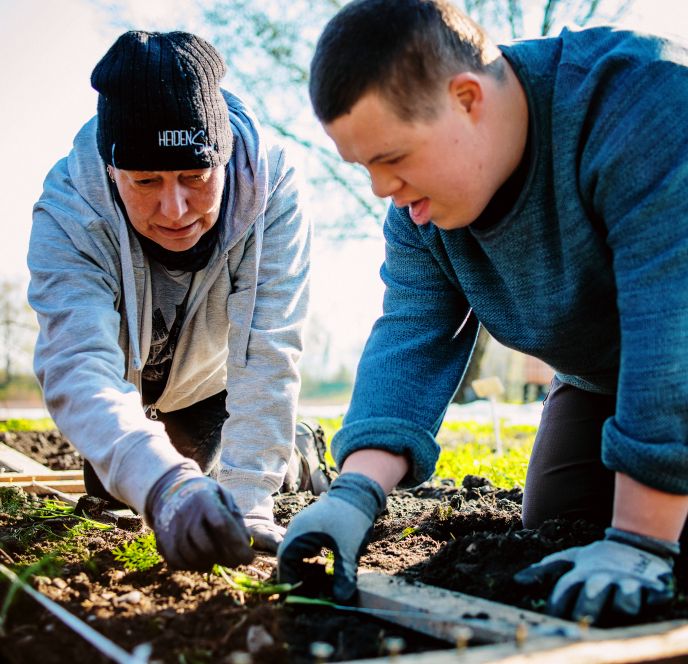 Arbeiten, Gutshof Heidensand, Lustenau Arbeiten, Gutshof Heidensand, Lustenau
