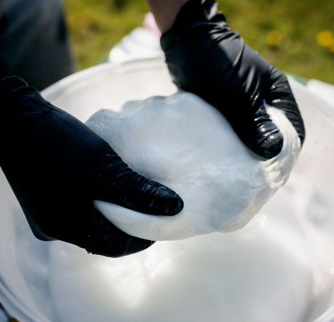 Büffelmozzarella, Heldernhof, Höchst Büffelmozzarella, Heldernhof, Höchst