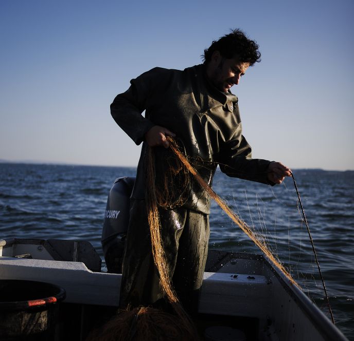 Fränzle's Fränzle's