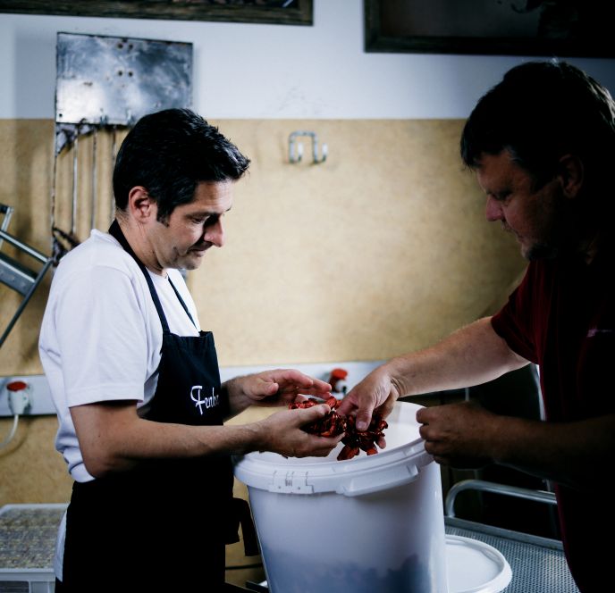 Fenkart, Hohenems und Schobel, Höchst Fenkart, Hohenems und Schobel, Höchst